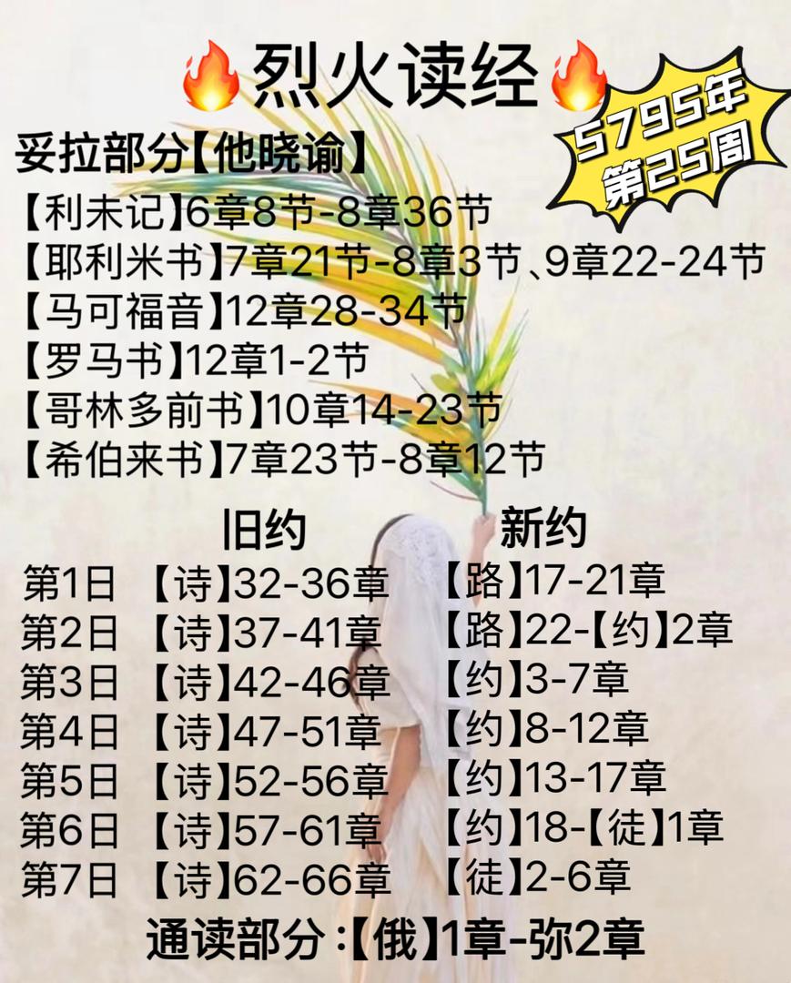 WhatsApp 图像2025-04-05于22.05.53_d321f957.jpg