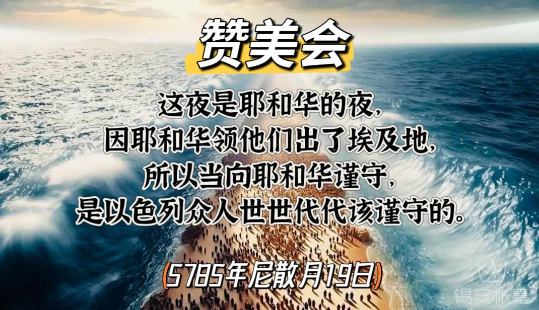 WhatsApp 图像2025-04-17于21.41.01_b3a4cc2e.jpg