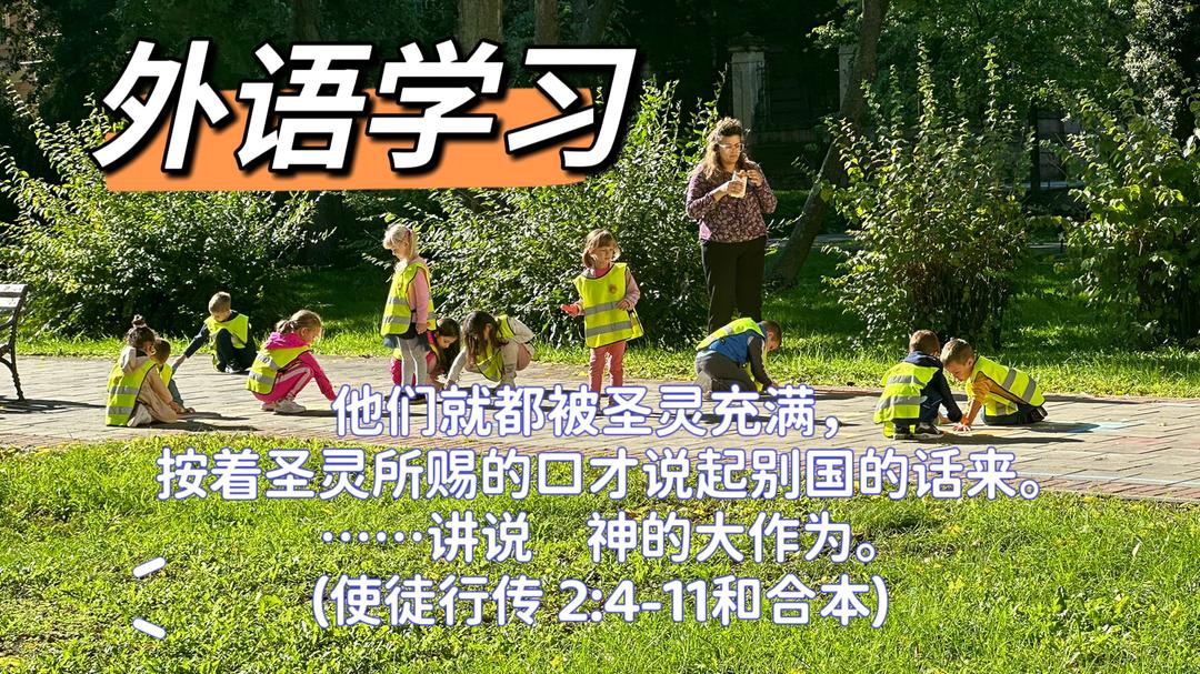 WhatsApp 图像2025-04-17于22.12.33_b91192cd.jpg