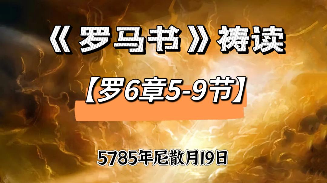 WhatsApp 图像2025-04-18于21.16.08_f13a6a3c.jpg