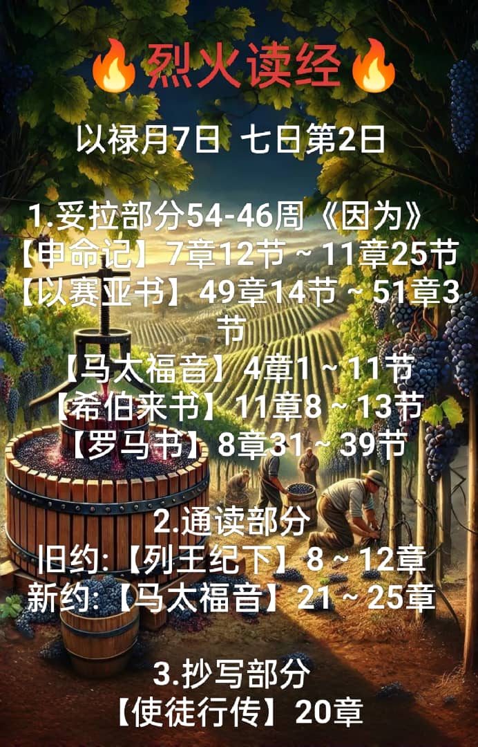 1000173363.jpg